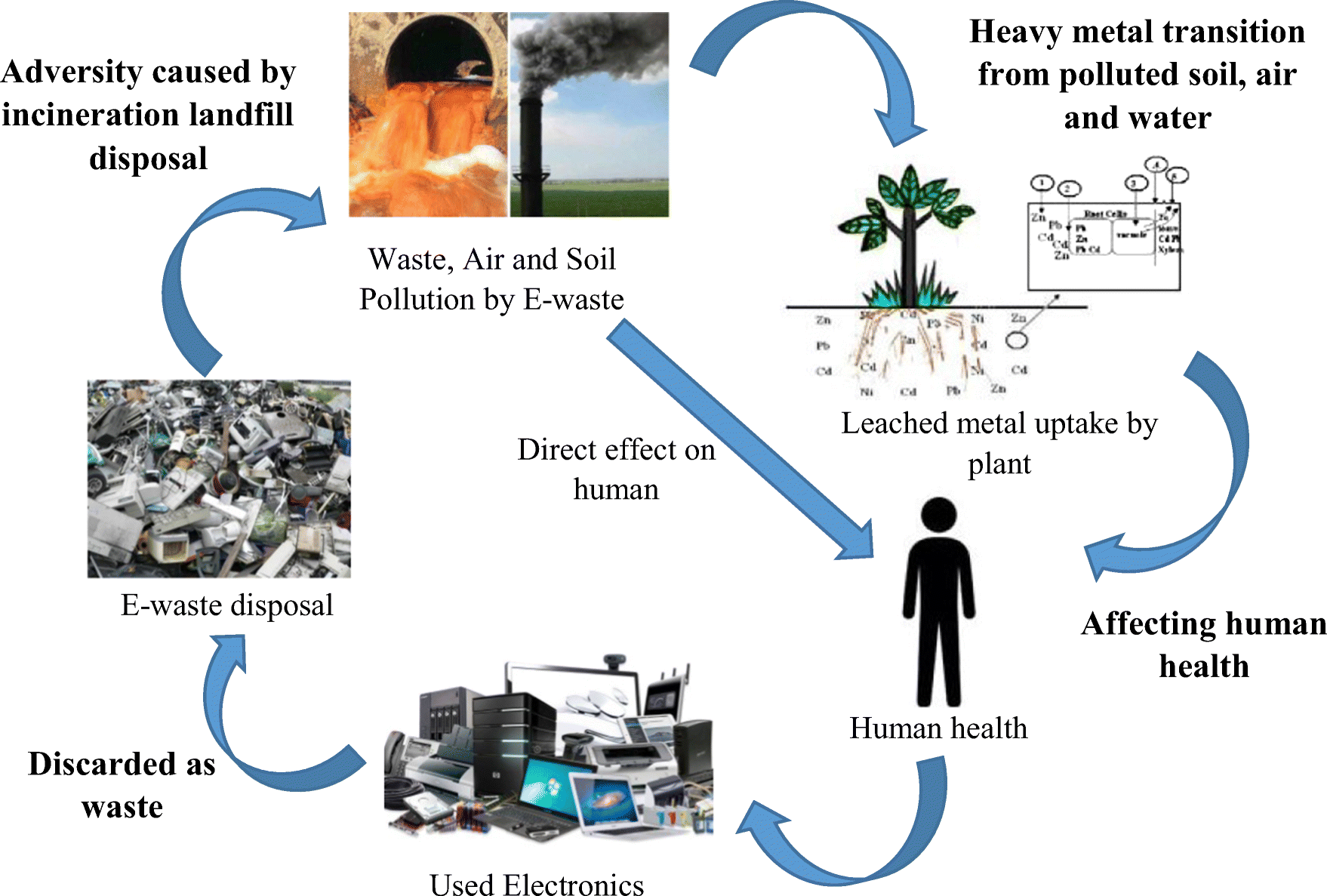 How can waste affect human health? updated October 2022