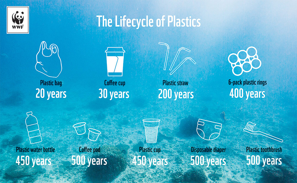 How long does plastic take to dissolve? | updated August 2022