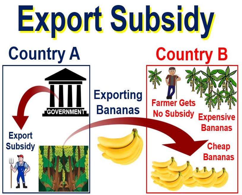 what-is-the-meaning-of-subsidize-updated-october-2022