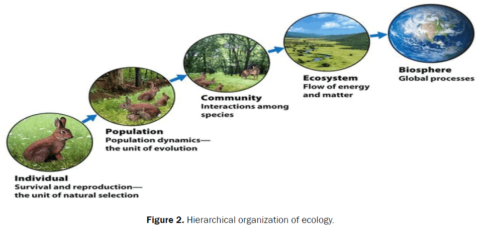 why-is-ecology-so-important-updated-december-2022