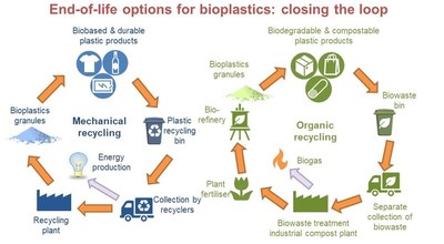 Why do plastics not biodegrade? | updated August 2022