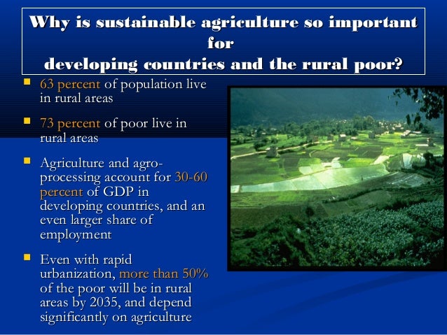 Why Is Sustainable Agriculture So Important Updated November 2022