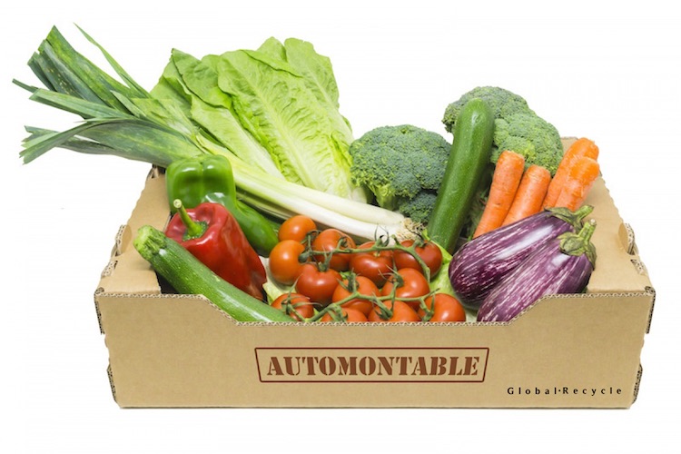 cardboard box full of vegetables
